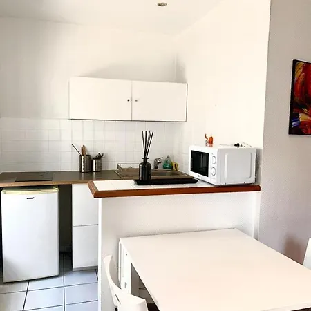 Design Et Baroque Hypercentre Gare Flandres Appartement